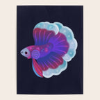 Blue Betta Poster Gallery Image 4