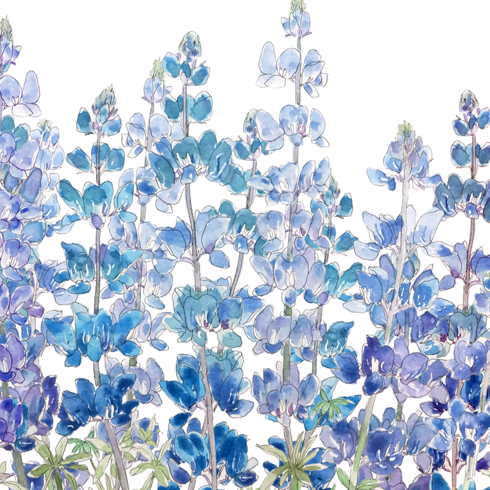 blue and purple lupin flowers horizontal  Coffee Mug Gallery Image 2