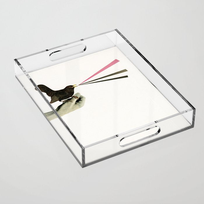 Bird in the Hand Acrylic Tray Gallery Image 1