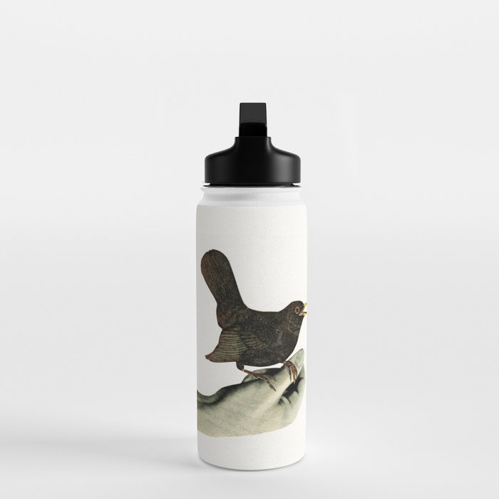 Bird in the Hand Water Bottle Gallery Image 3