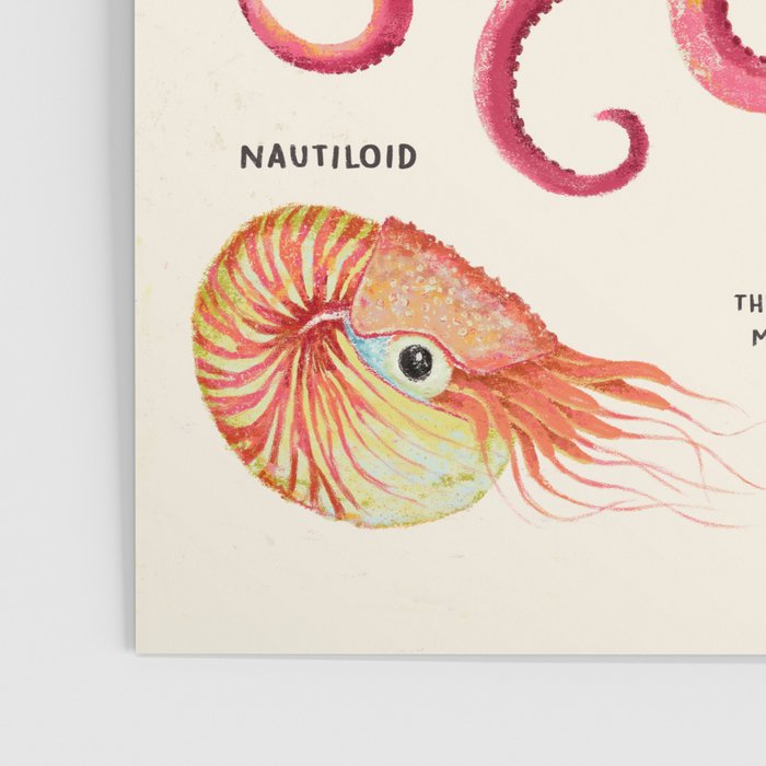 THE CEPHALOPODS Poster Gallery Image 3