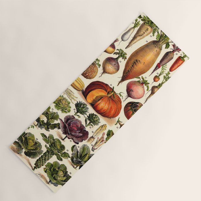 Adolphe Millot Legumes Plant Potageres Vintage Scientific Encyclopedia Illustration Lithograph  Yoga Mat Gallery Image 1
