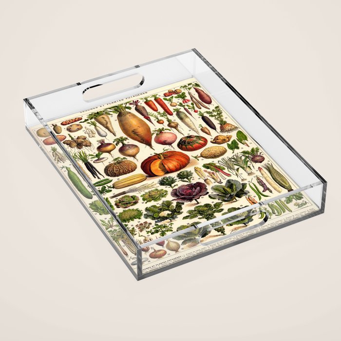 Adolphe Millot Legumes Plant Potageres Vintage Scientific Encyclopedia Illustration Lithograph  Acrylic Tray Gallery Image 1