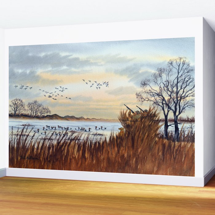 Duck Hunting Season Begins For The Canvasback Wall Mural Gallery Image 2