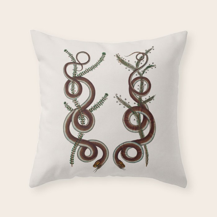 Albertus Seba Snakes  Double Spiral Vines  Throw Pillow Gallery Image 6
