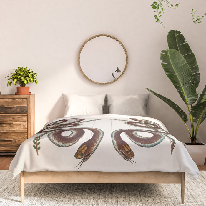 Albertus Seba Snakes  Double Spiral Vines  Comforter Gallery Image 3