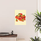 Tomato frog Poster Gallery Image 2