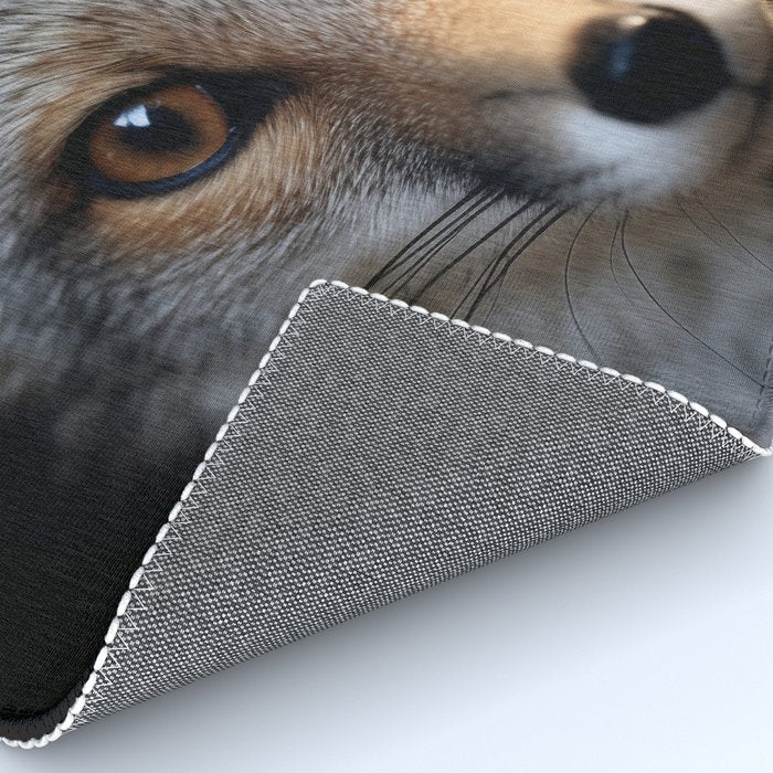 Foxfire Gaze Gray Fox Photorealistic Digital Wildlife Artwork Rug Gallery Image 4