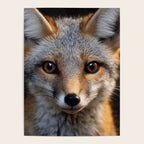 Foxfire Gaze Gray Fox Photorealistic Digital Wildlife Artwork Poster Gallery Image 4