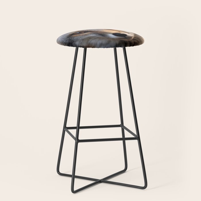 Foxfire Gaze Gray Fox Photorealistic Digital Wildlife Artwork Stool Gallery Image 1