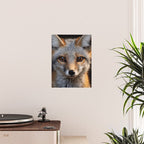 Foxfire Gaze Gray Fox Photorealistic Digital Wildlife Artwork Poster Gallery Image 2