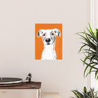 Greyhound dog portrait Poster Gallery Image 2