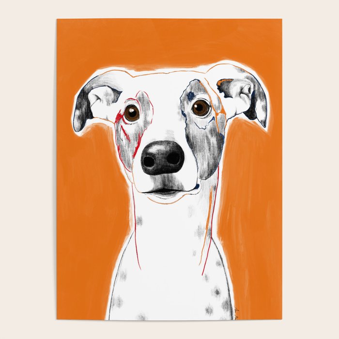 Greyhound dog portrait Poster Gallery Image 1