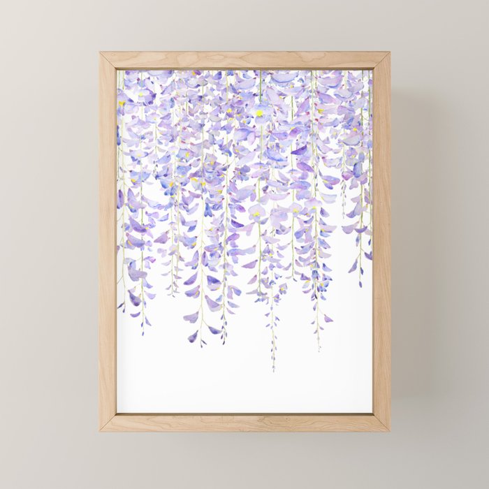 purple wisteria in bloom 2021 Mini Art Print Gallery Image 1