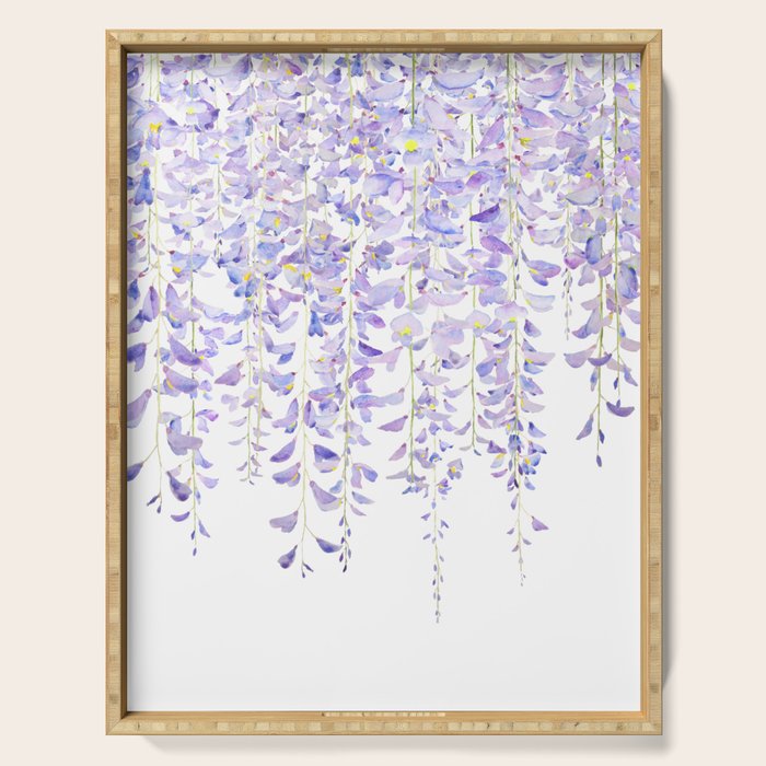 purple wisteria in bloom 2021 Serving Tray Gallery Image 1