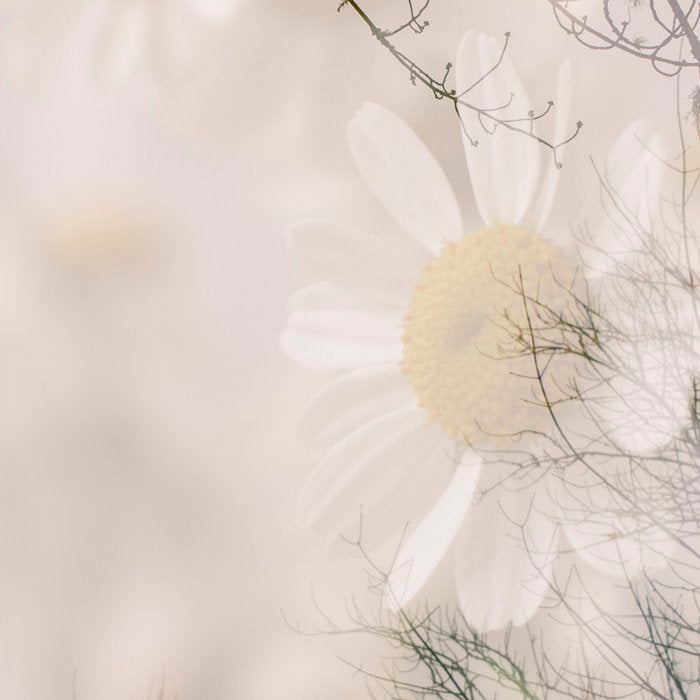 Invocation - double exposure nature botanical photograph Coffee Mug Gallery Image 2