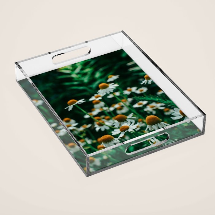 Wild Abandon of Summer Acrylic Tray Gallery Image 1