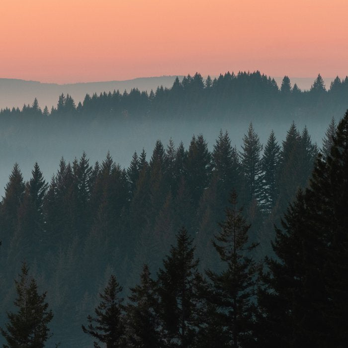 PNW Sunset Coffee Mug Gallery Image 2