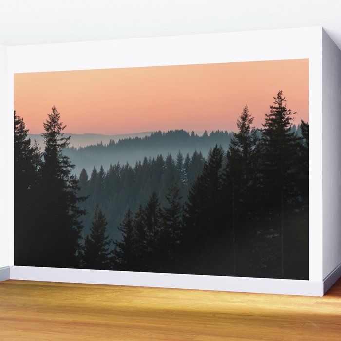 PNW Sunset Wall Mural Gallery Image 2