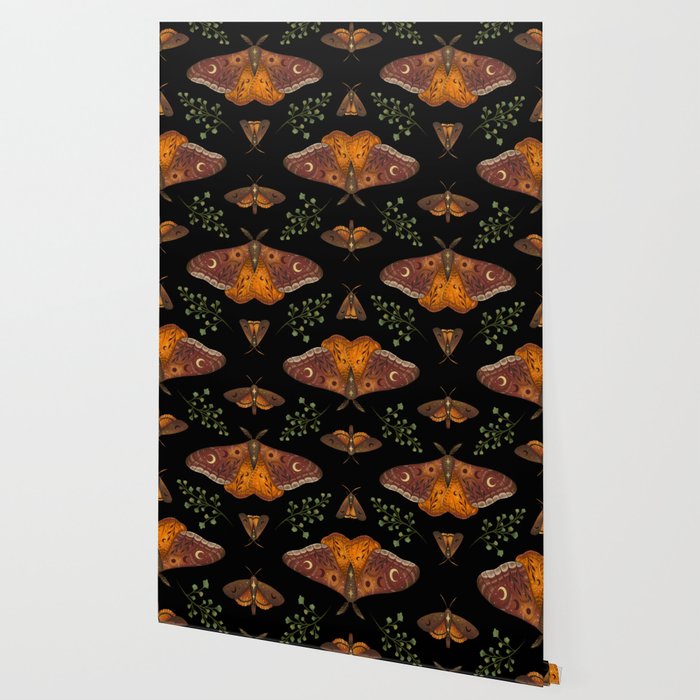 Autumn Light Underwing Wallpaper Gallery Image 2