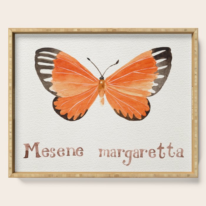 Butterfly - Mesene margaretta Serving Tray Gallery Image 1