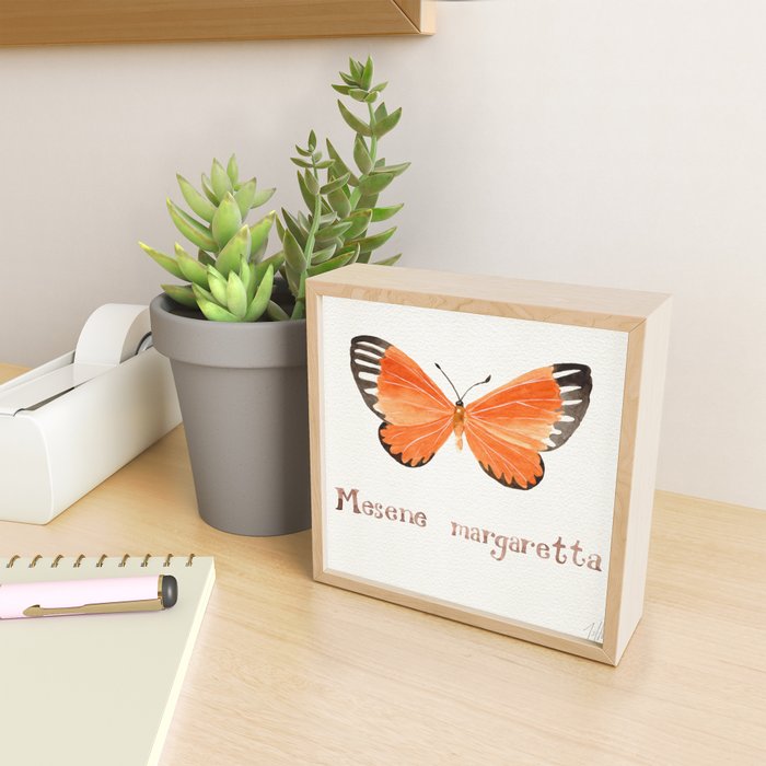 Butterfly - Mesene margaretta Mini Art Print Gallery Image 2