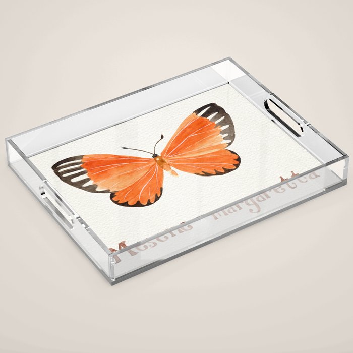 Butterfly - Mesene margaretta Acrylic Tray Gallery Image 1
