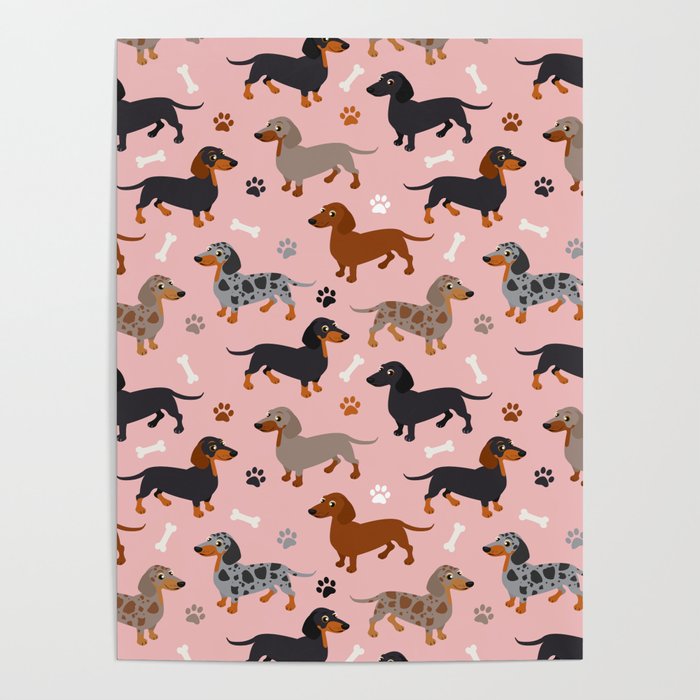 Dachshund Dog Doxie Dogs Pattern Pink Poster Gallery Image 4