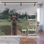 Rosabell Wall Mural Gallery Image 1
