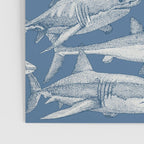 just sharks cobalt denim Poster Gallery Image 3