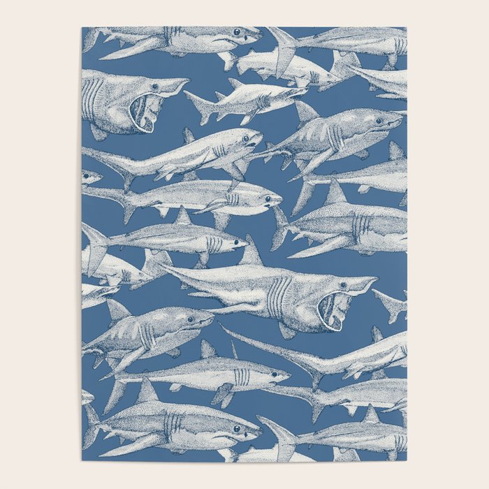 just sharks cobalt denim Poster Gallery Image 4