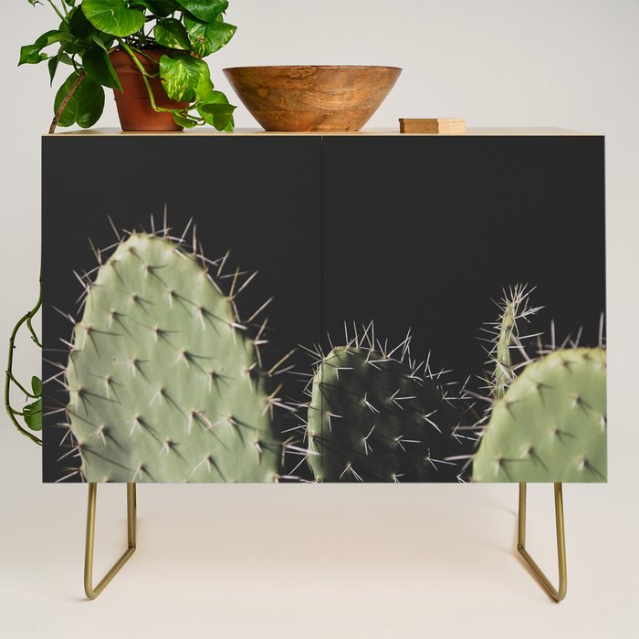 Cactus Credenza Gallery Image 1