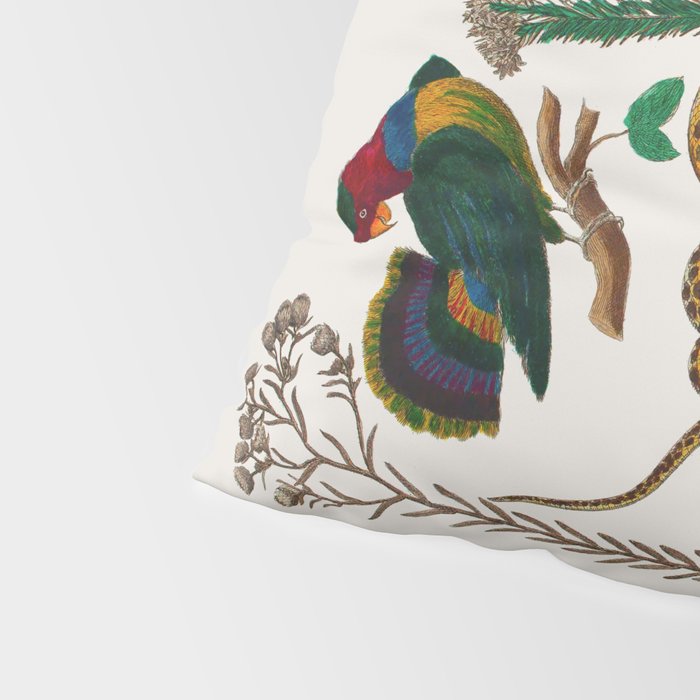 Snakes Birds Sunflower Art Print by Albertus Seba Pillow Sham Gallery Image 4