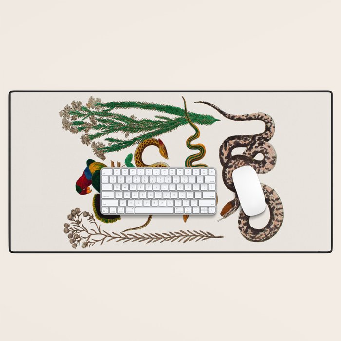 Snakes Birds Sunflower Art Print by Albertus Seba Desk Mat Gallery Image 1