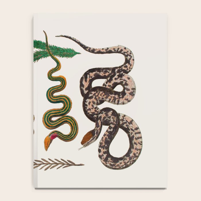 Snakes Birds Sunflower Art Print by Albertus Seba Notebook Gallery Image 4