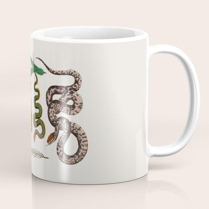 Snakes Birds Sunflower Art Print by Albertus Seba Coffee Mug Gallery Image 1