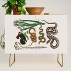 Snakes Birds Sunflower Art Print by Albertus Seba Credenza Gallery Image 1