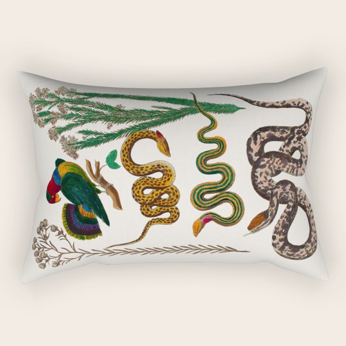 Snakes Birds Sunflower Art Print by Albertus Seba Rectangular Pillow Gallery Image 1
