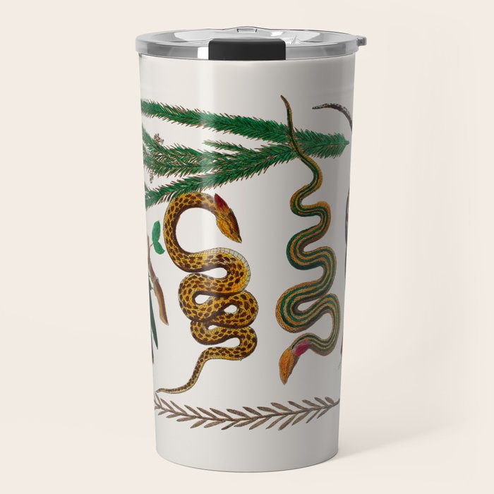 Snakes Birds Sunflower Art Print by Albertus Seba Travel Mug Gallery Image 1