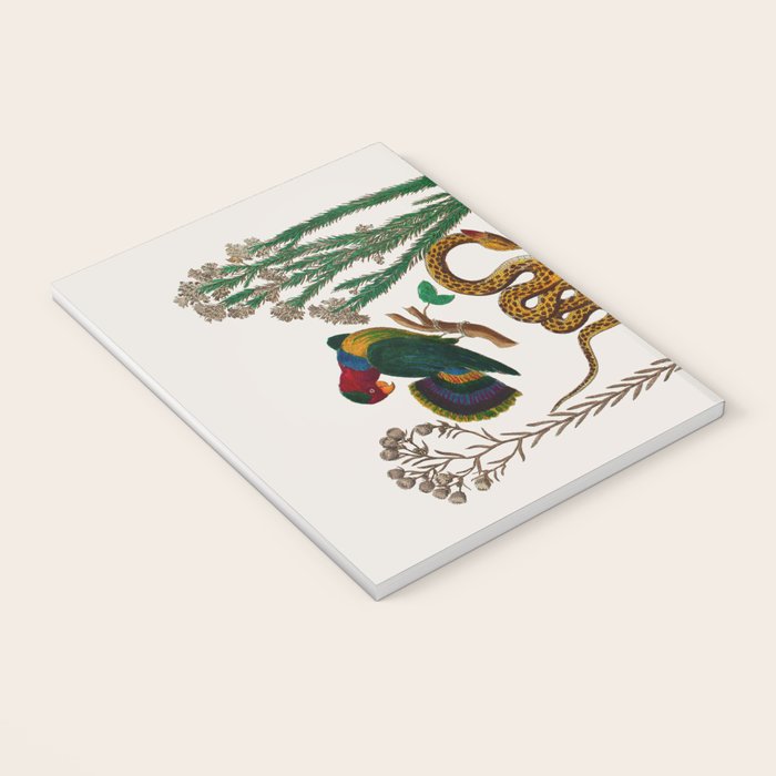 Snakes Birds Sunflower Art Print by Albertus Seba Notebook Gallery Image 3