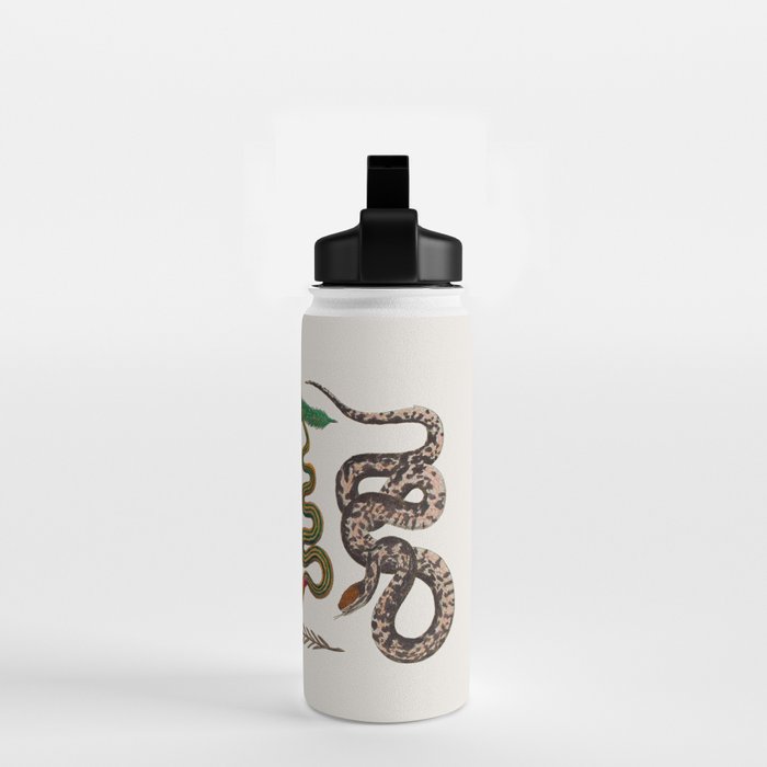 Snakes Birds Sunflower Art Print by Albertus Seba Water Bottle Gallery Image 2