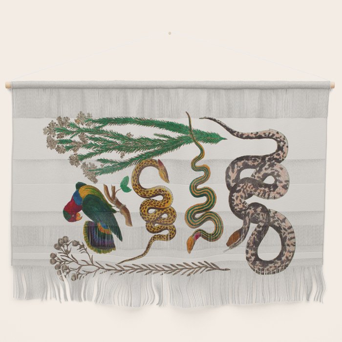 Snakes Birds Sunflower Art Print by Albertus Seba Wall Hanging Gallery Image 1