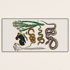 Snakes Birds Sunflower Art Print by Albertus Seba Desk Mat Gallery Image 3