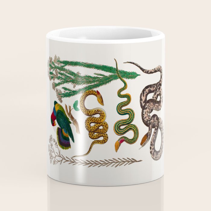 Snakes Birds Sunflower Art Print by Albertus Seba Coffee Mug Gallery Image 4