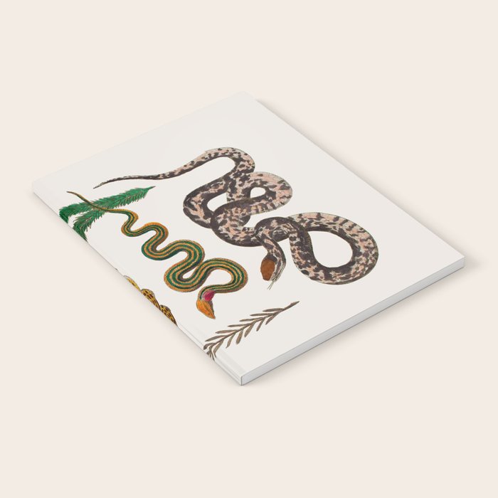 Snakes Birds Sunflower Art Print by Albertus Seba Notebook Gallery Image 2