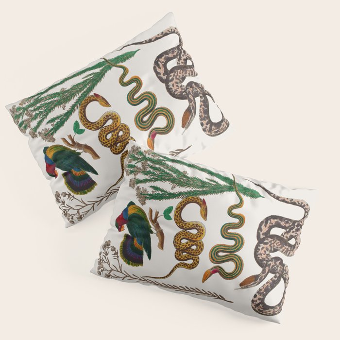 Snakes Birds Sunflower Art Print by Albertus Seba Pillow Sham Gallery Image 3