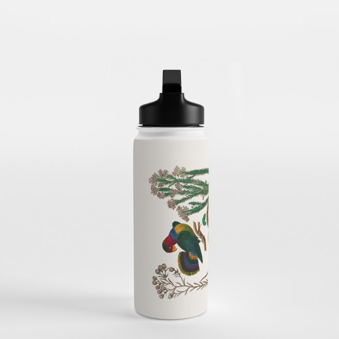 Snakes Birds Sunflower Art Print by Albertus Seba Water Bottle Gallery Image 3