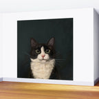 Tuxedo Cat Portrait Wall Mural Gallery Image 2