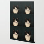 Tuxedo Cat Portrait Wallpaper Gallery Image 2