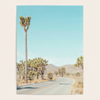 Desert Road, Joshua Tree Landscape Photography Poster Gallery Image 4